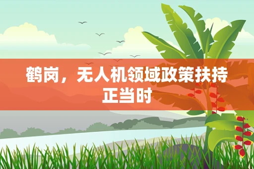 鹤岗，无人机领域政策扶持正当时