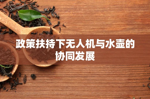 政策扶持下无人机与水壶的协同发展
