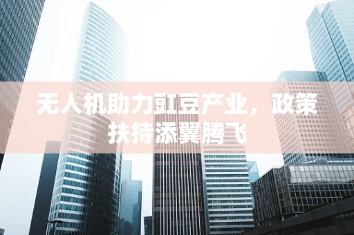 无人机助力豇豆产业，政策扶持添翼腾飞