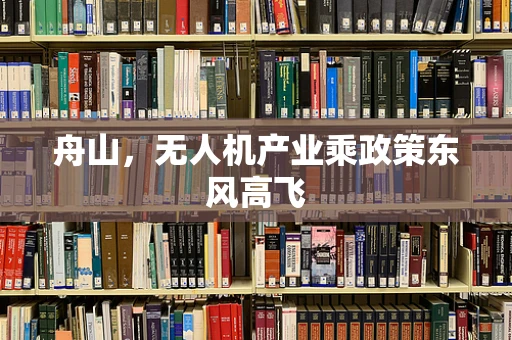舟山，无人机产业乘政策东风高飞
