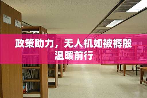 政策助力，无人机如被褥般温暖前行