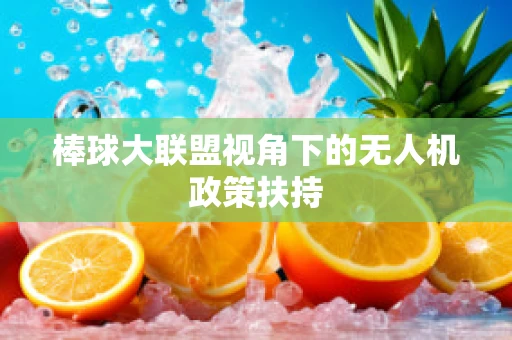 棒球大联盟视角下的无人机政策扶持