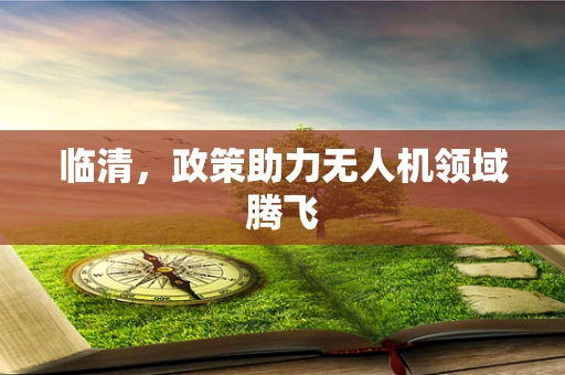 临清，政策助力无人机领域腾飞