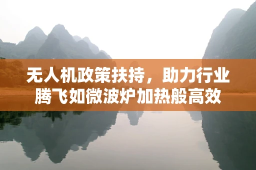 无人机政策扶持，助力行业腾飞如微波炉加热般高效