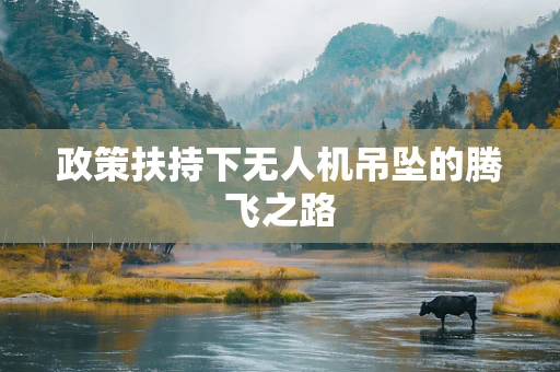 政策扶持下无人机吊坠的腾飞之路