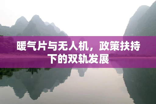暖气片与无人机，政策扶持下的双轨发展