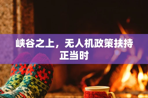 峡谷之上，无人机政策扶持正当时