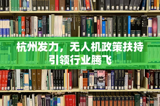 杭州发力，无人机政策扶持引领行业腾飞