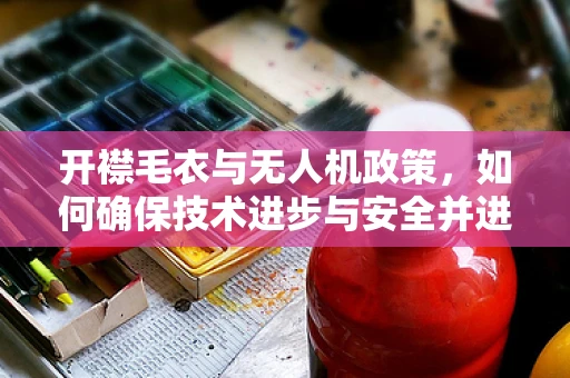 开襟毛衣与无人机政策，如何确保技术进步与安全并进？