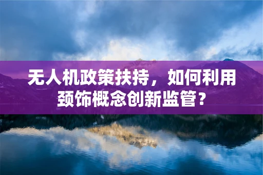 无人机政策扶持，如何利用颈饰概念创新监管？