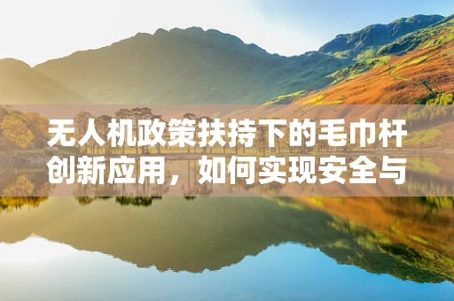 无人机政策扶持下的毛巾杆创新应用，如何实现安全与便捷的双重提升？
