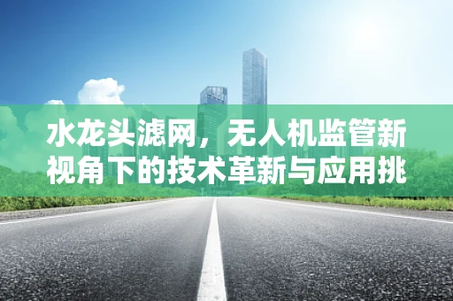 水龙头滤网，无人机监管新视角下的技术革新与应用挑战？