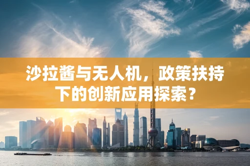 沙拉酱与无人机，政策扶持下的创新应用探索？