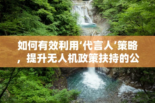 如何有效利用‘代言人’策略，提升无人机政策扶持的公众认知与接受度？