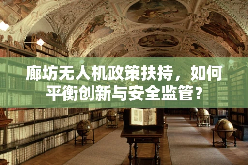 廊坊无人机政策扶持，如何平衡创新与安全监管？