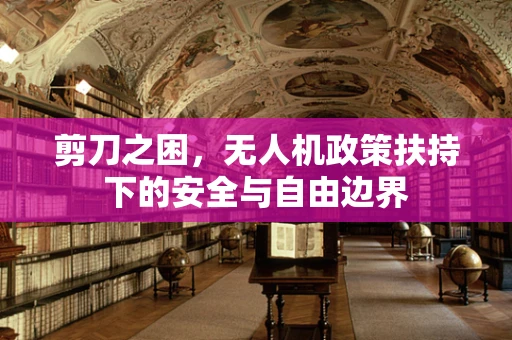 剪刀之困，无人机政策扶持下的安全与自由边界