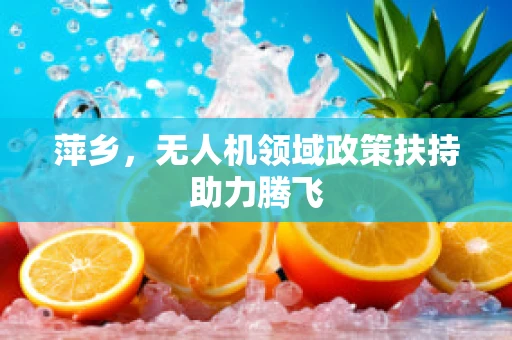 萍乡，无人机领域政策扶持助力腾飞