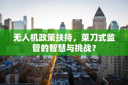 无人机政策扶持，菜刀式监管的智慧与挑战？