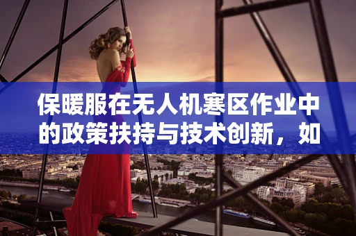 保暖服在无人机寒区作业中的政策扶持与技术创新，如何平衡成本与效能？