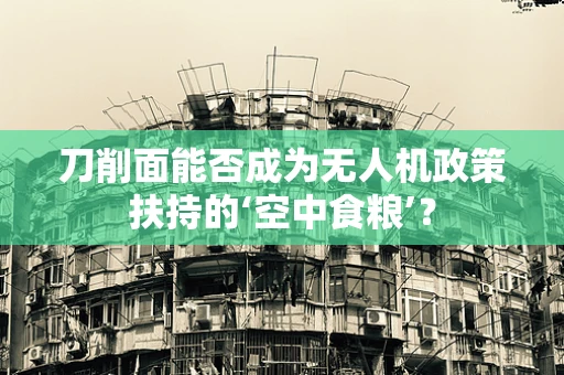 刀削面能否成为无人机政策扶持的‘空中食粮’？