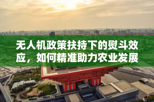 无人机政策扶持下的熨斗效应，如何精准助力农业发展？