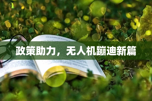 政策助力，无人机蹦迪新篇
