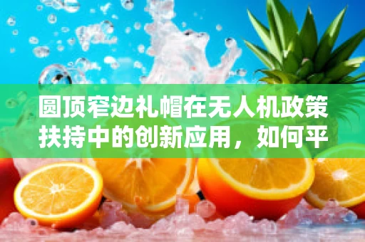 圆顶窄边礼帽在无人机政策扶持中的创新应用，如何平衡安全与创意？