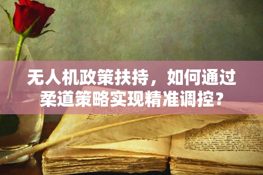 无人机政策扶持，如何通过柔道策略实现精准调控？