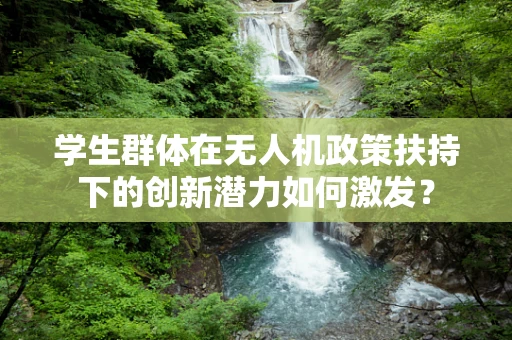 学生群体在无人机政策扶持下的创新潜力如何激发？