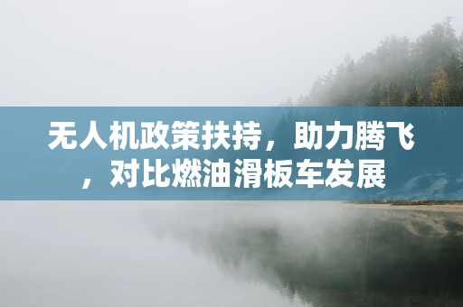 无人机政策扶持，助力腾飞，对比燃油滑板车发展