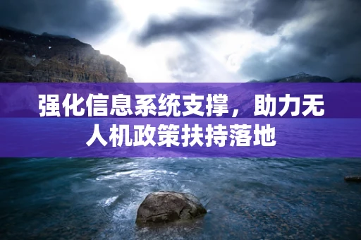 强化信息系统支撑，助力无人机政策扶持落地