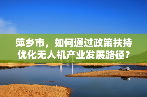 萍乡市，如何通过政策扶持优化无人机产业发展路径？