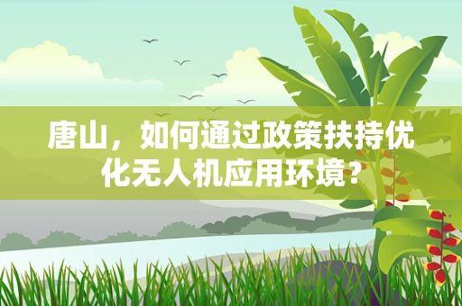 唐山，如何通过政策扶持优化无人机应用环境？