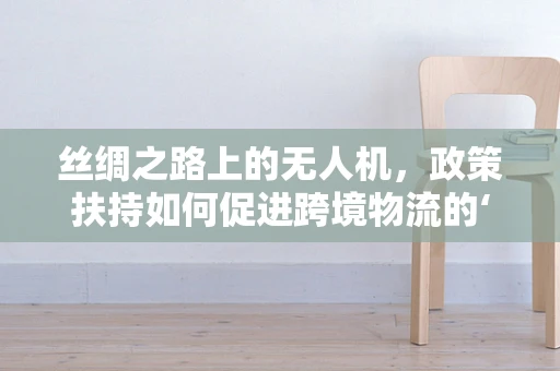 丝绸之路上的无人机，政策扶持如何促进跨境物流的‘空中丝绸之路’？