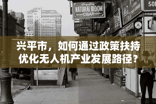 兴平市，如何通过政策扶持优化无人机产业发展路径？