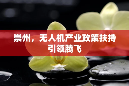 崇州，无人机产业政策扶持引领腾飞