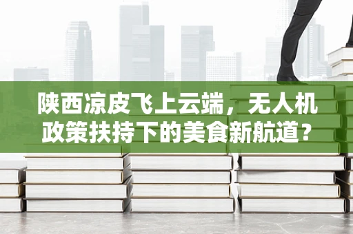 陕西凉皮飞上云端，无人机政策扶持下的美食新航道？