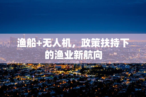 渔船+无人机，政策扶持下的渔业新航向