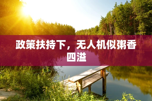 政策扶持下，无人机似粥香四溢