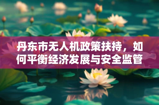 丹东市无人机政策扶持，如何平衡经济发展与安全监管？