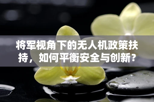 将军视角下的无人机政策扶持，如何平衡安全与创新？