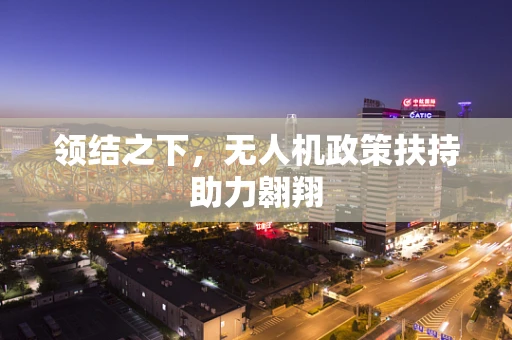 领结之下，无人机政策扶持助力翱翔