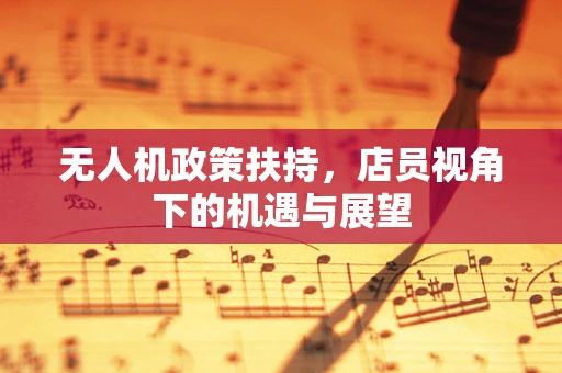 无人机政策扶持，店员视角下的机遇与展望