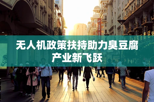 无人机政策扶持助力臭豆腐产业新飞跃