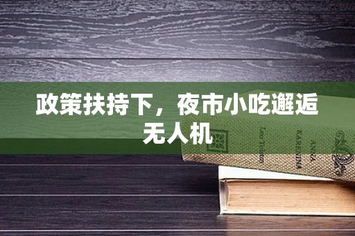 政策扶持下，夜市小吃邂逅无人机