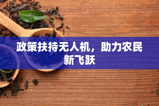 政策扶持无人机，助力农民新飞跃