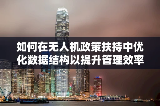 如何在无人机政策扶持中优化数据结构以提升管理效率？