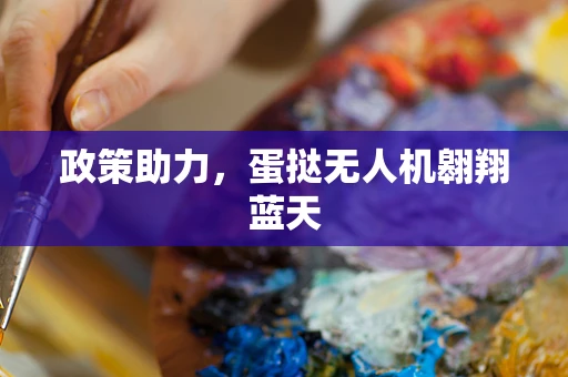 政策助力，蛋挞无人机翱翔蓝天