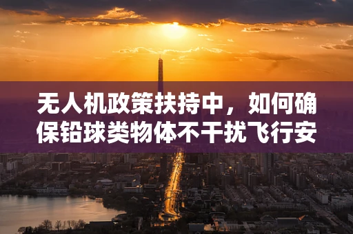 无人机政策扶持中，如何确保铅球类物体不干扰飞行安全？