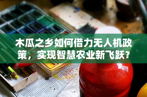 木瓜之乡如何借力无人机政策，实现智慧农业新飞跃？